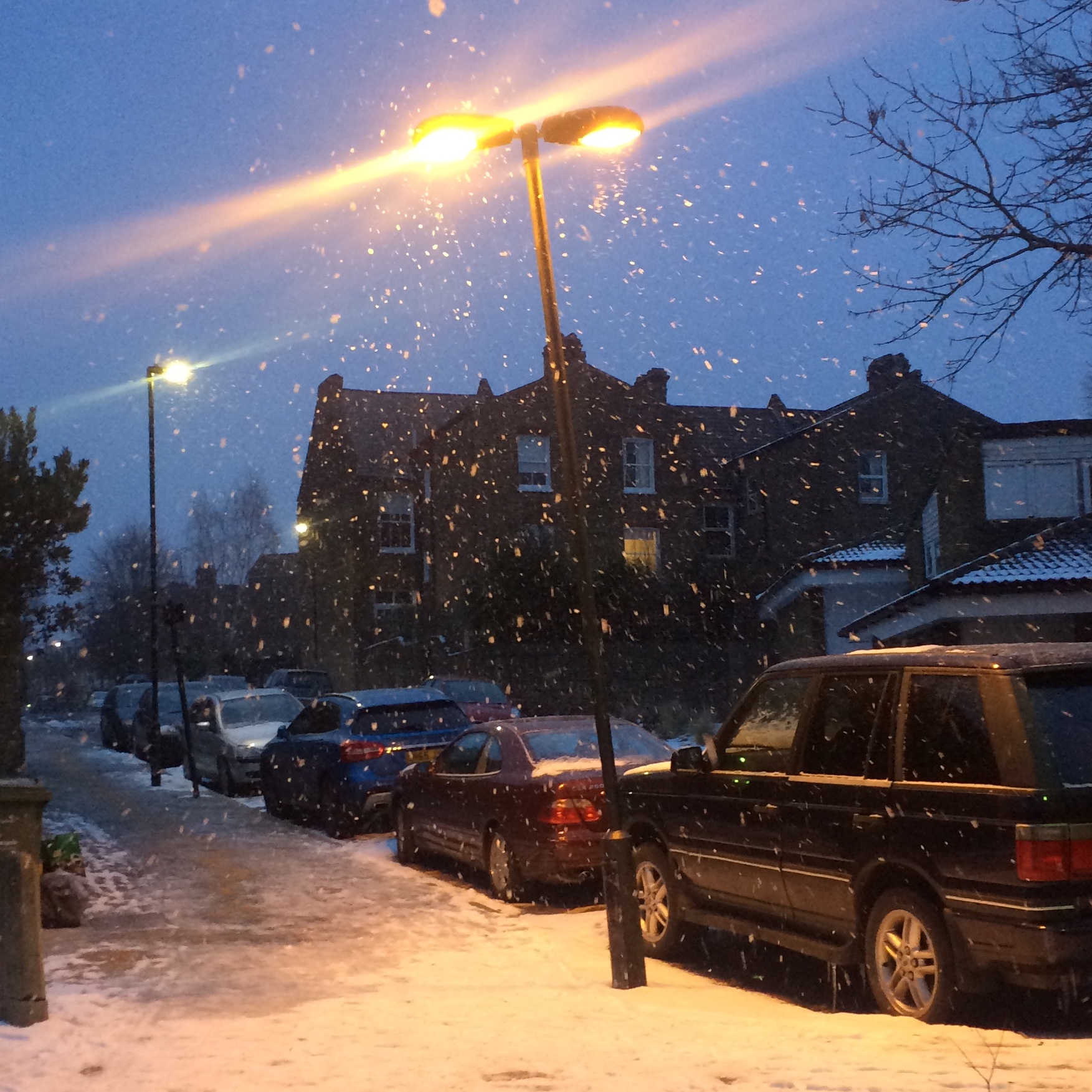 bread and butter pudding