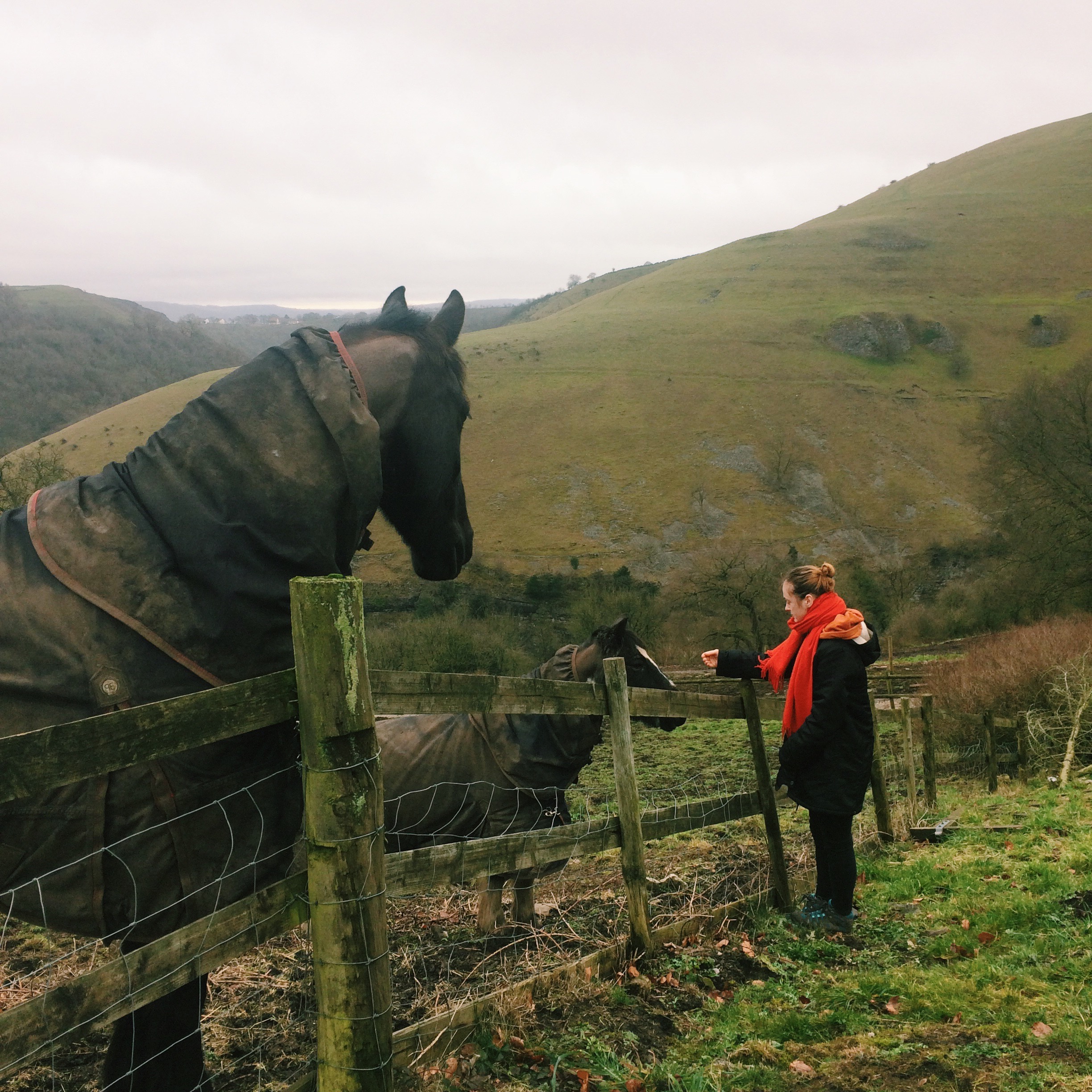 rhubarb Bakewell slice