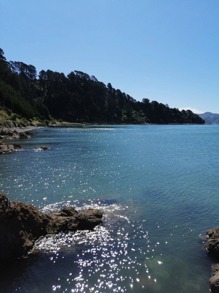 Christmas cake ice cream Nigella Eats Everything