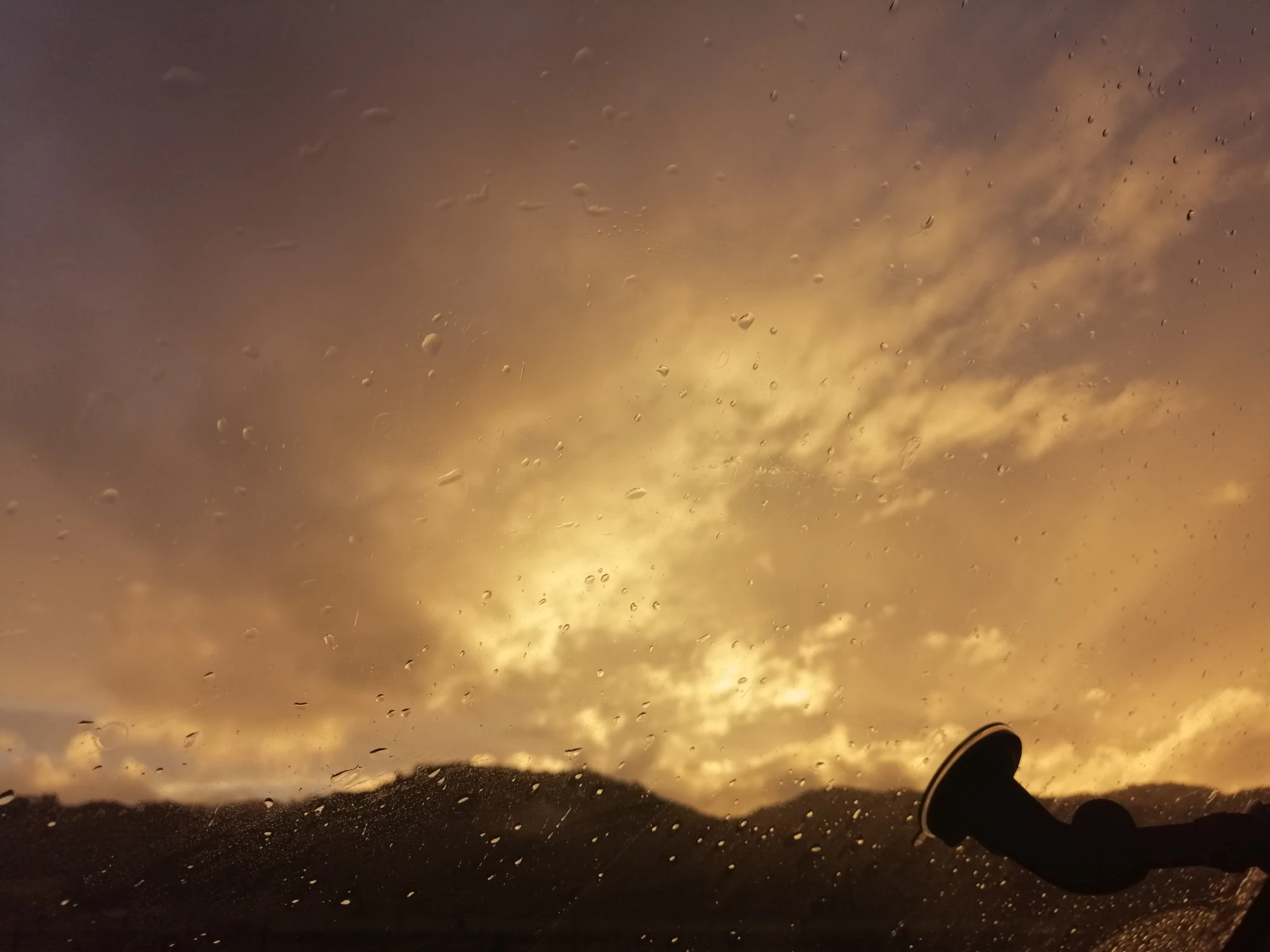 nigella eats everything brown butter nutella cookies