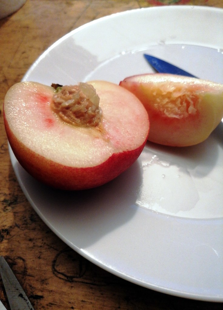 cherry clafoutis nigella eats everything