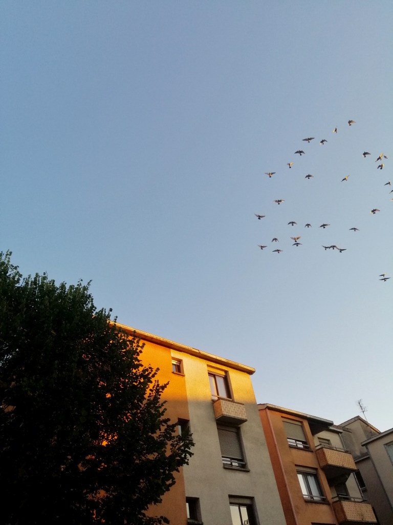 The 7 things I've learnt in France