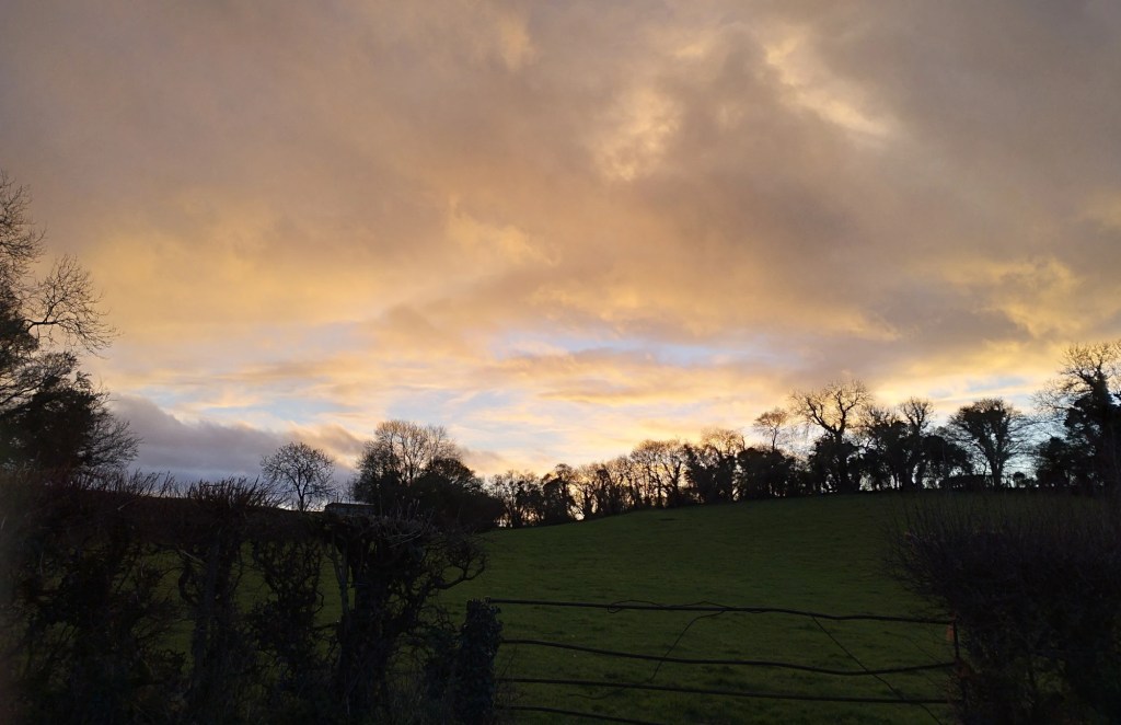 nigella eats everything