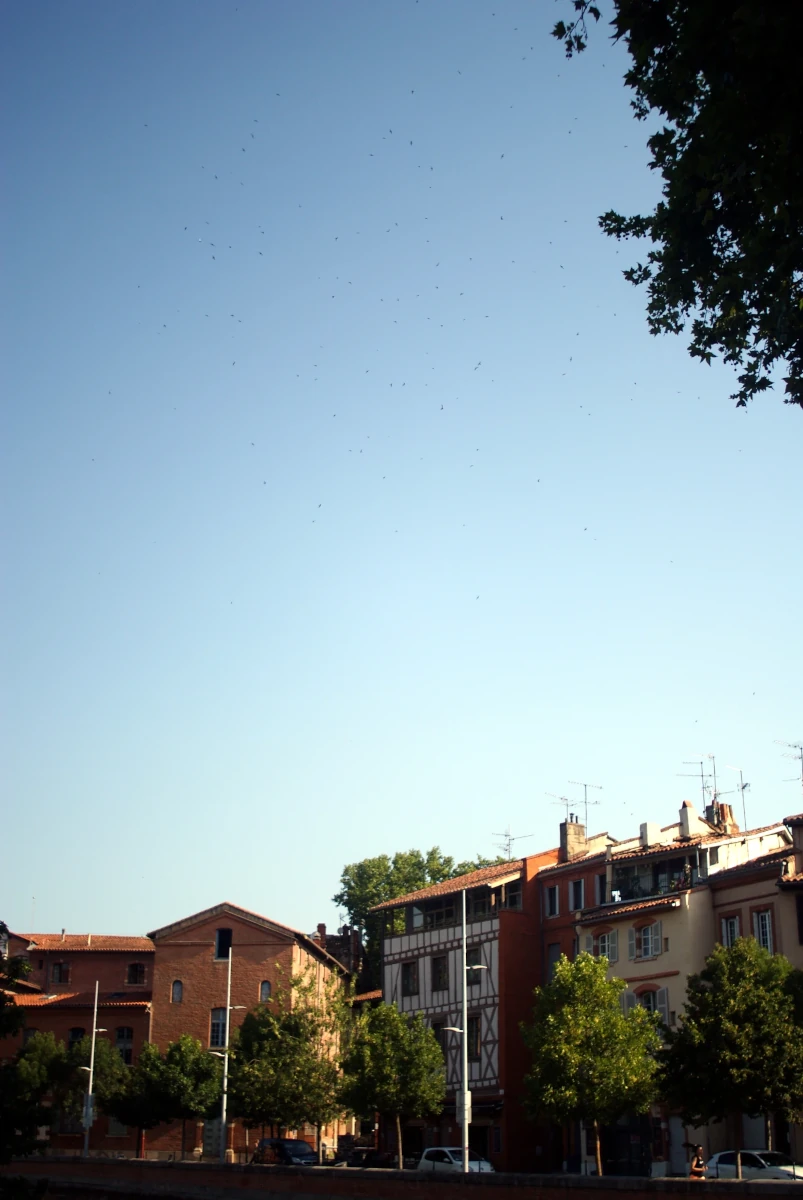 24 hours in Toulouse